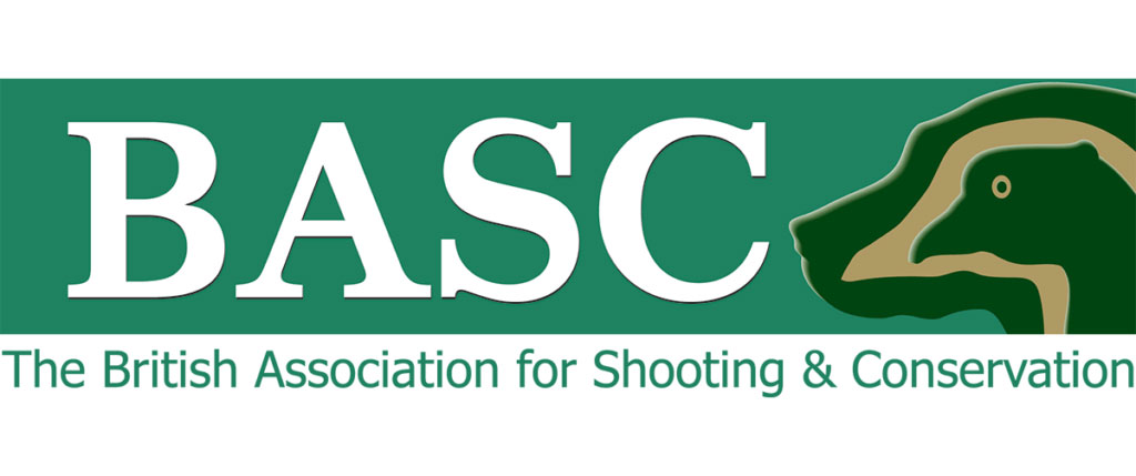 Upload logo