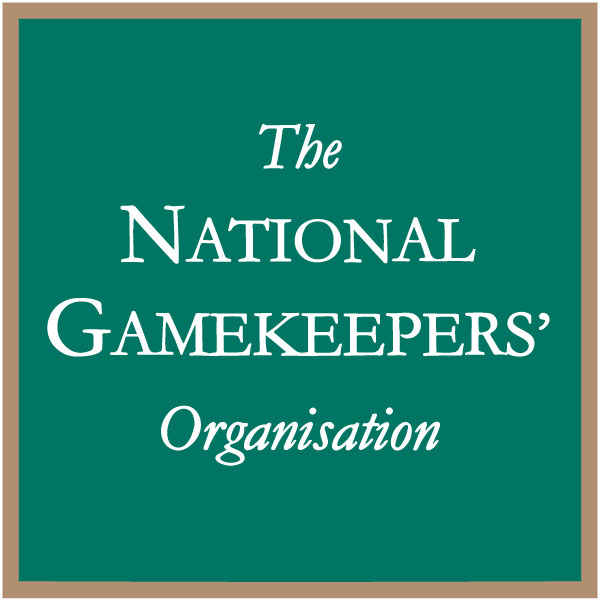 Upload logo