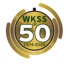 Upload logo
